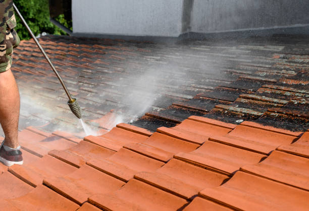 Best Residential Pressure Washing Services  in Pierceton, IN